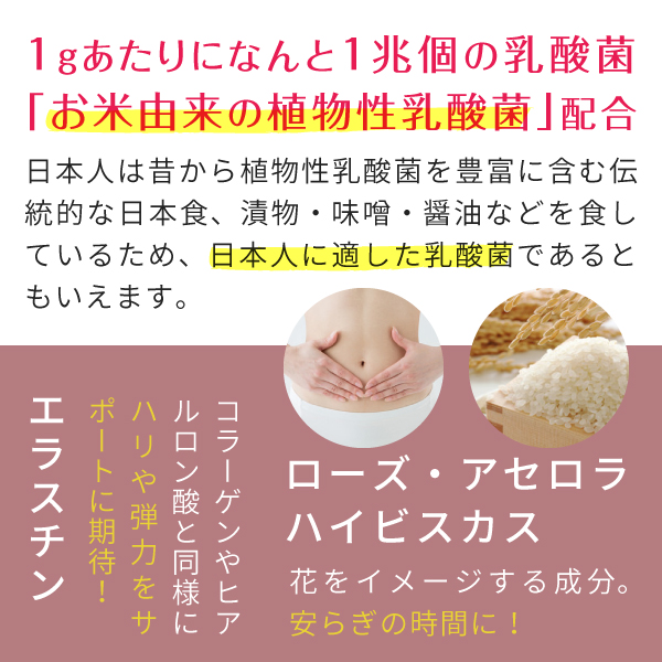 コラーゲン 乳酸菌 粉末 サプリメント スティック 30包（コラーゲンペプチド プラセンタ ヒアルロン酸 エラスチン collagen）｜hogarakagenki｜08