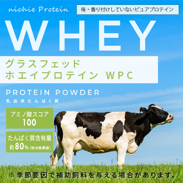 ホエイプロテイン WPC グラスフェッド 3kg プレーン味（100 パウダー 甘味料 香料無添加 プロテイン ホエイ） : wpcgf-03 :  nichie ニチエー - 通販 - Yahoo!ショッピング