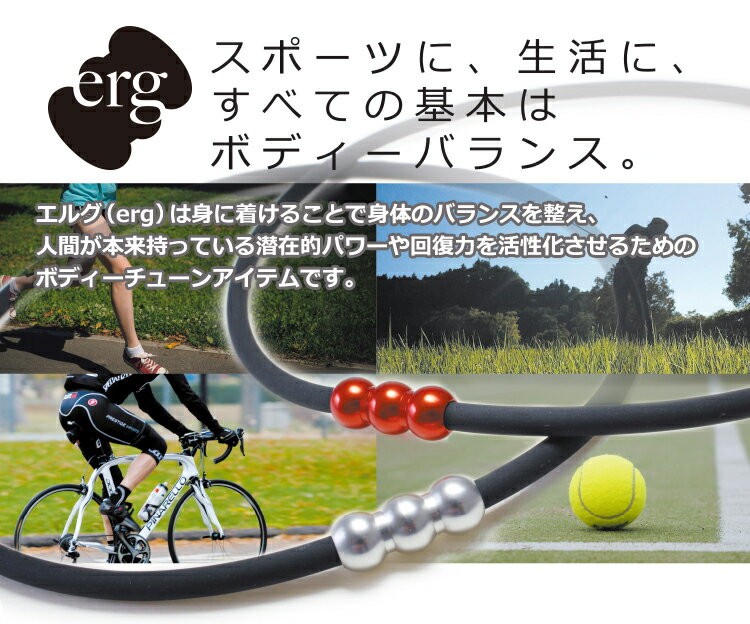 hogushiyahonpo_erg-syn-zero