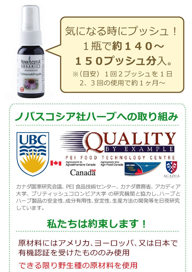 エキナセア ＪＡＳ認定、厳しい品質管理をクリアしているため、高品質が保証できます