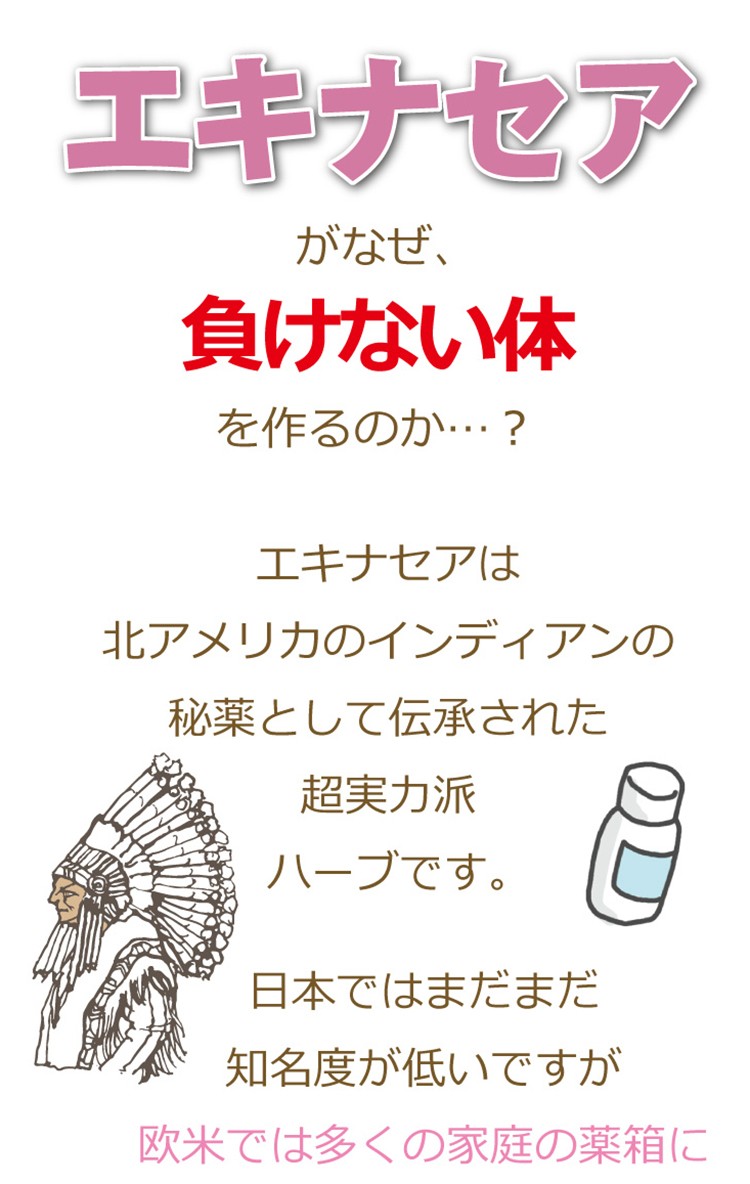 エキナセア 西洋の漢方を言われている実力派ハーブ