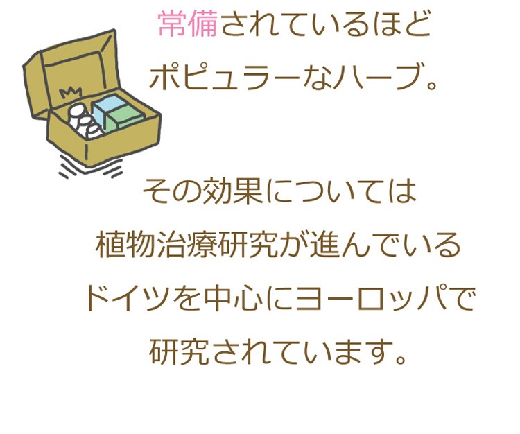 エキナセア ヨーロッパの一部では医薬品として認めラており、家庭の薬箱に常備されているほどポピュラーなハーブ