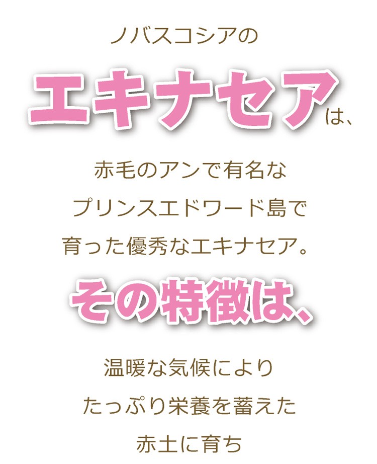 この商品で使用しているエキナセアはカナダのプリンスエドワード島で収穫されています。