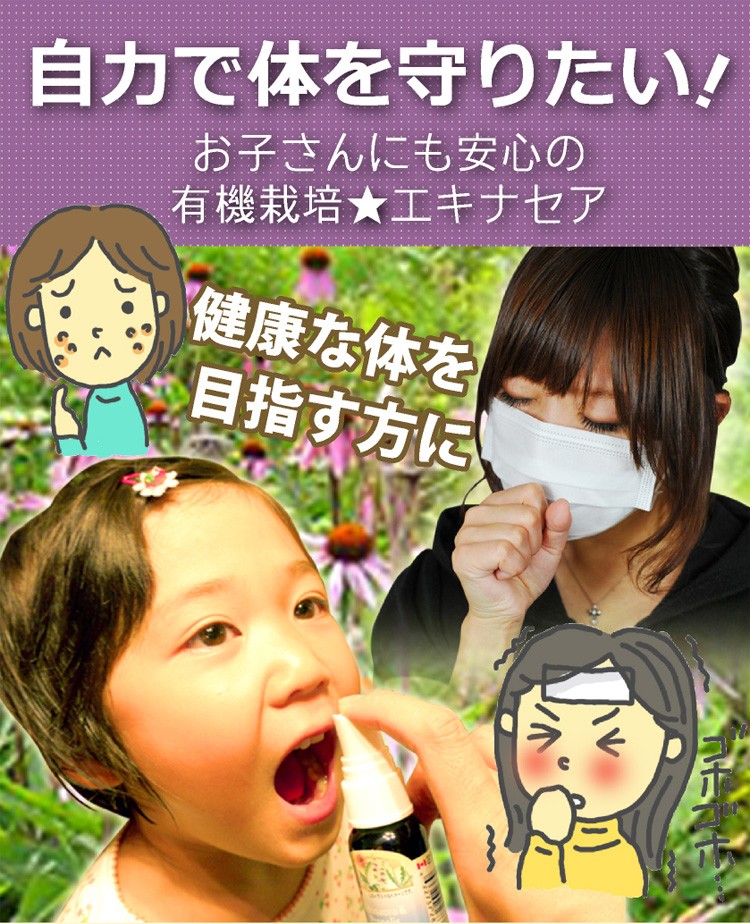 自力で体を守りたい！お子さんにも安心の有機栽培エキナセア 季節の変わり目の体調管理に