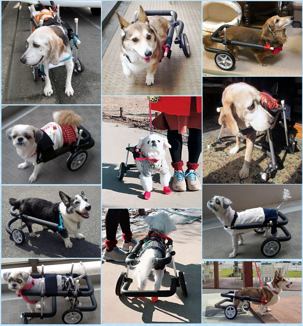 犬用車椅子 歩行器 小型犬用 オーダーメイド 4輪 室内 歩行補助 老犬