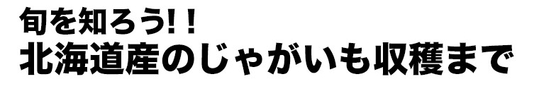 旬を知ろう
