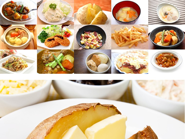 料理写真