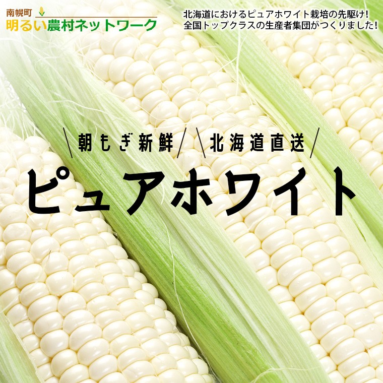 2024年予約】 とうもろこし 送料無料 北海道産 ピュアホワイト 10本