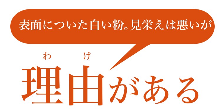 北海道産 するめいか/スルメイカ