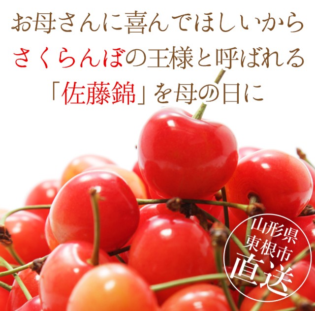 22年予約 母の日 さくらんぼ 山形県産 佐藤錦 秀品 Lサイズ 24粒 カーネーション付 プレミアムボックス入り フルーツ 果物 人気 限定商品 産地直送 Yg Sakuranbo Satonishiki Pbox L ギフト グルメ北海道 通販 Yahoo ショッピング