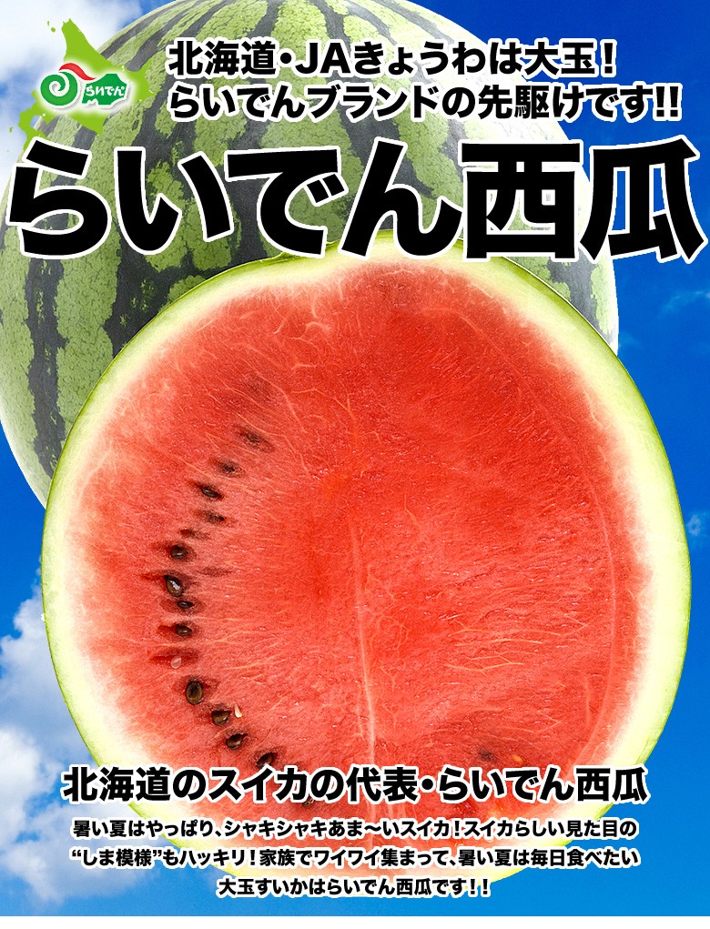 【2024年予約】 すいか スイカ 送料無料 北海道共和町産 らいでんすいか（特秀品 M〜L 3.5kg以上）／ お中元 御中元 暑中見舞 北海道産  らいでん 果物 フルーツ