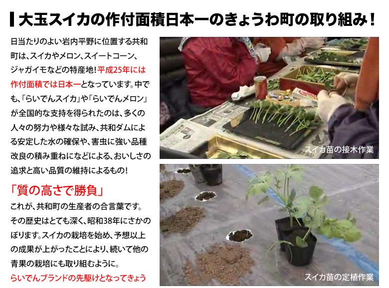 らいでんすいか