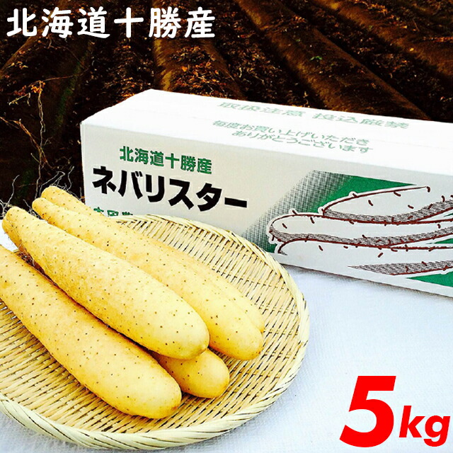 ネバリスター