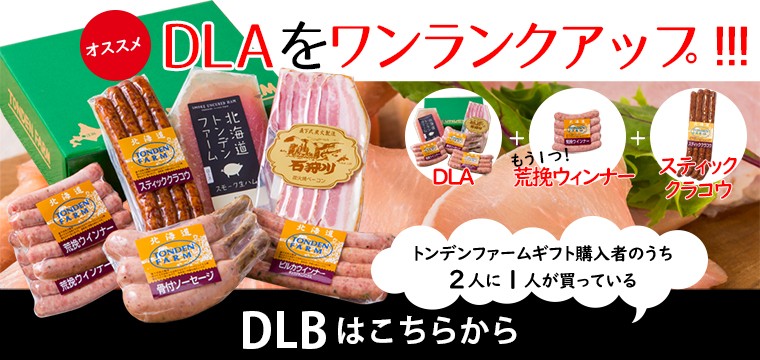 DLBへ