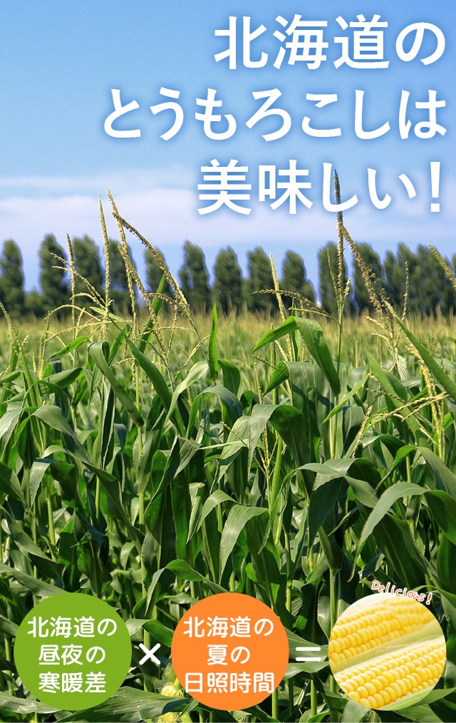 北海道