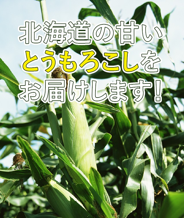 お届け