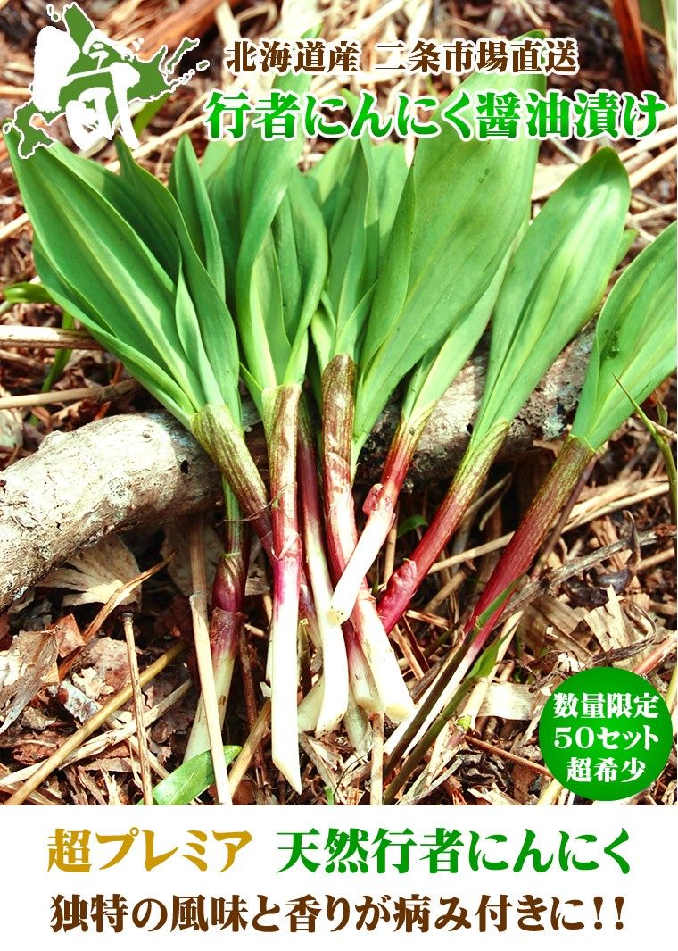 北海道産 天然 行者にんにく醤油漬け