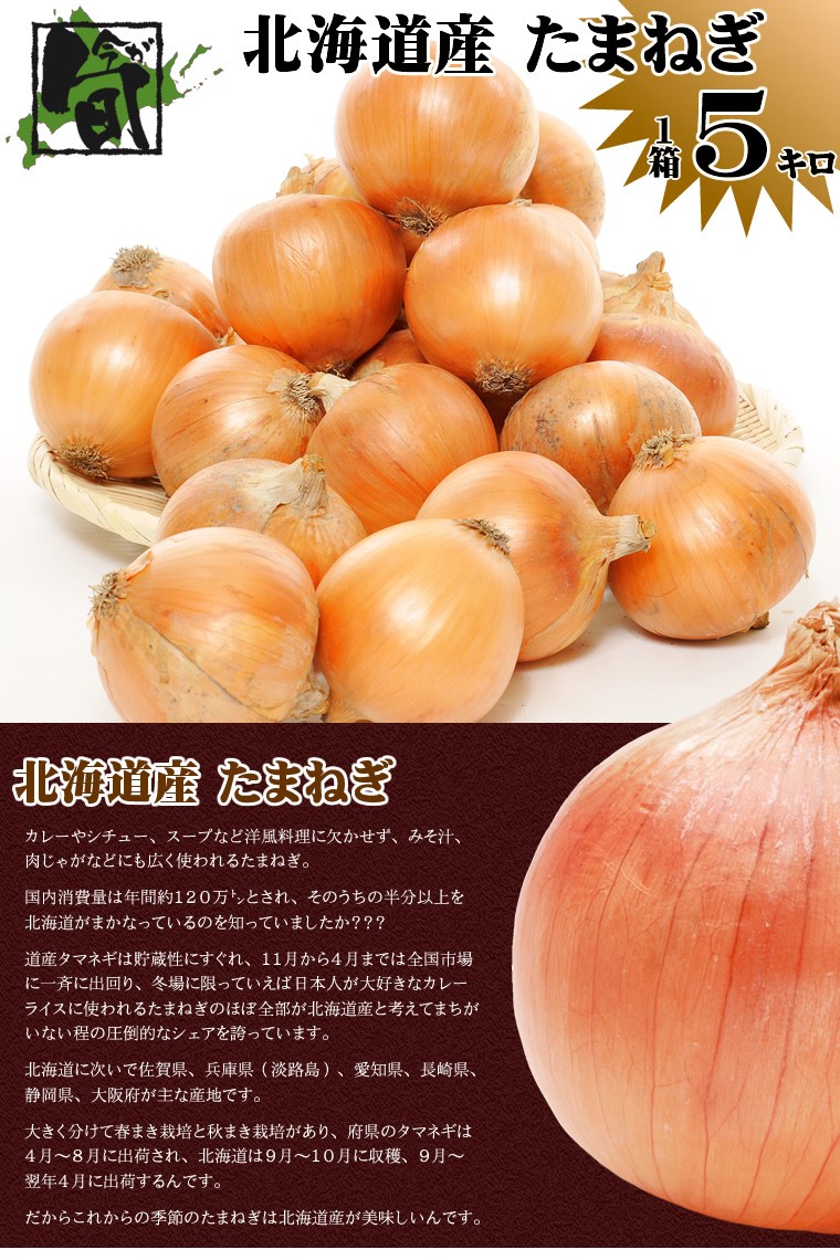 玉ねぎ　北海道産　1キロ以上　Mサイズ　正規品