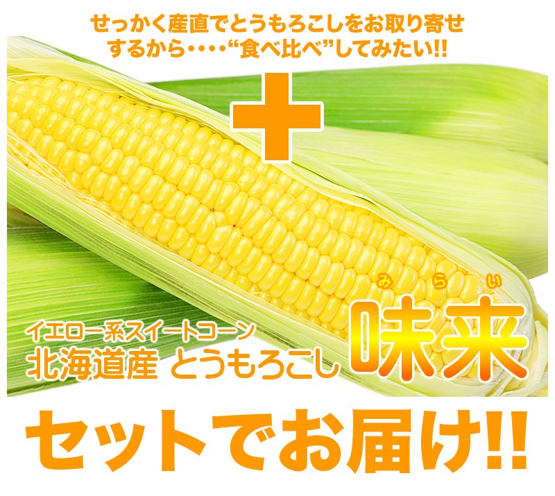 ホワイトショコラ/白いとうもろこし