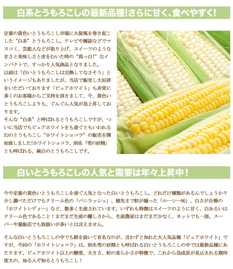 ホワイトショコラ/白いとうもろこし