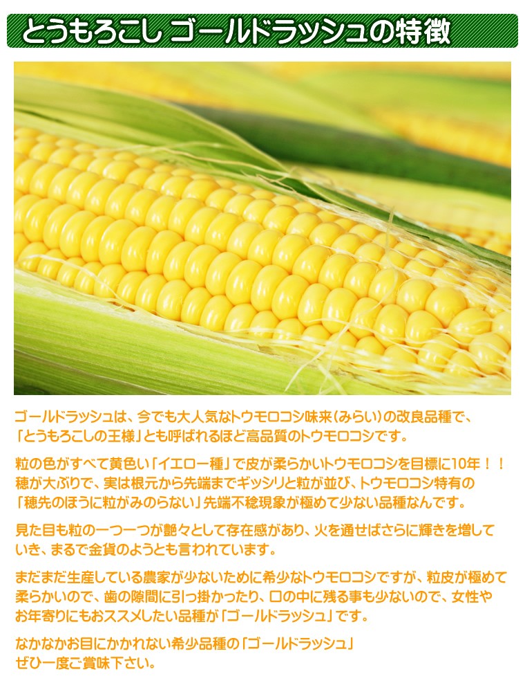 北海道産/ゴールドラッシュ
