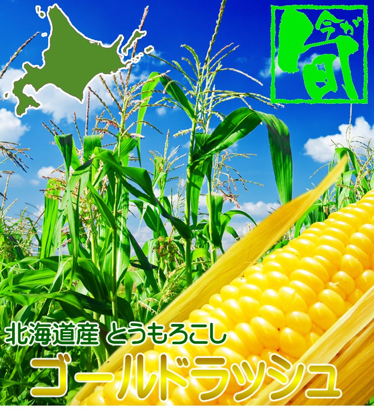 北海道産/ゴールドラッシュ