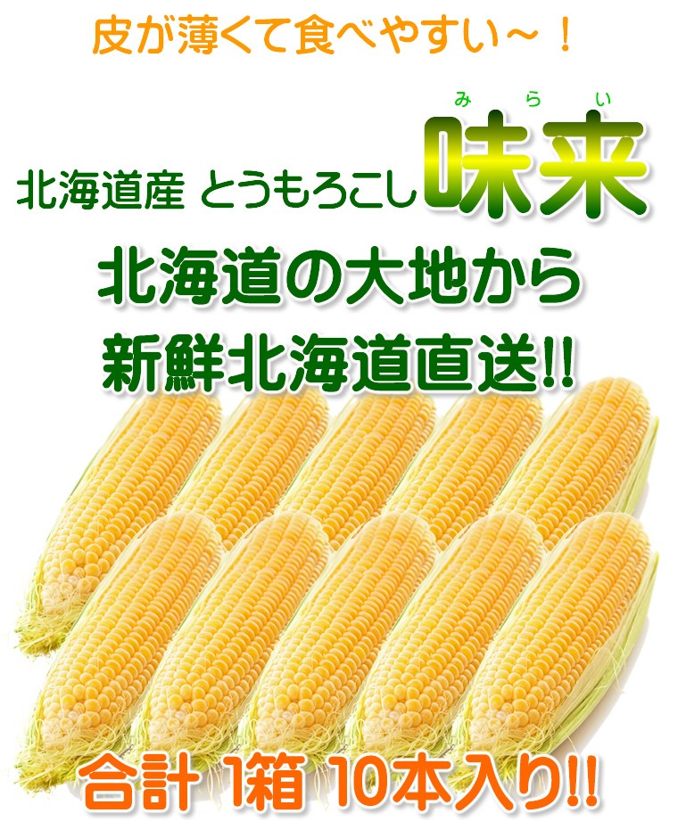 北海道産/味来/6本入