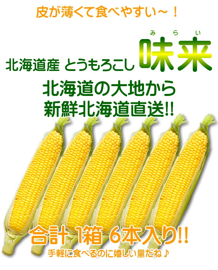 北海道産/味来/6本入