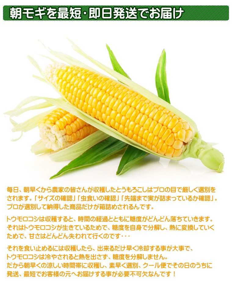 北海道産/味来