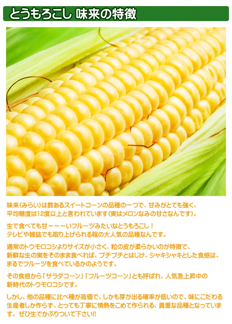 北海道産/味来