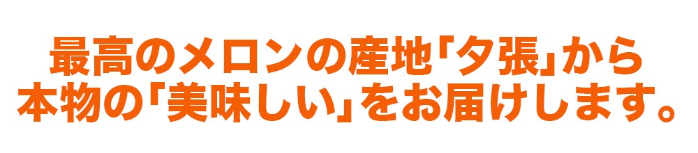 北海道 夕張メロン