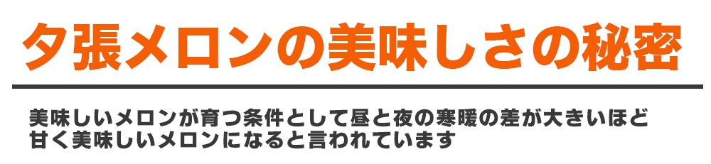 北海道 夕張メロン