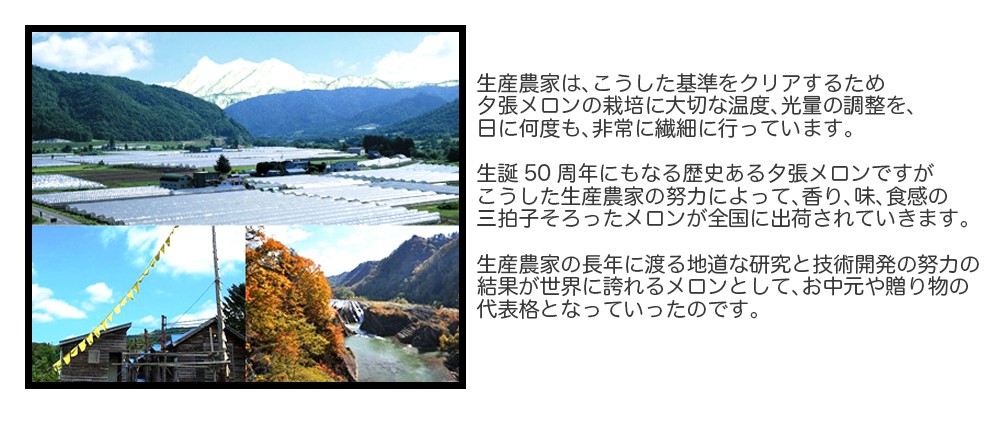 北海道 夕張メロン