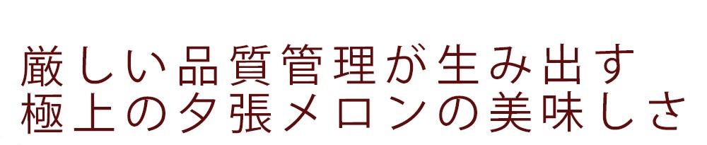 北海道 夕張メロン
