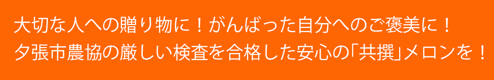 北海道 夕張メロン