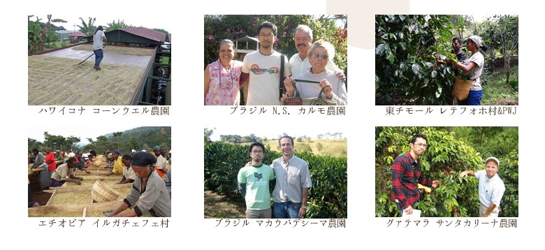 北海道徳光珈琲夏ギフト