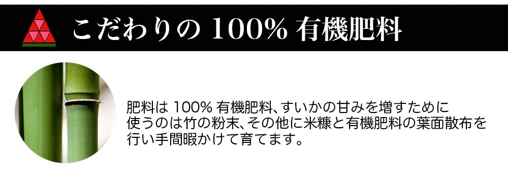 河幡さんスイカ