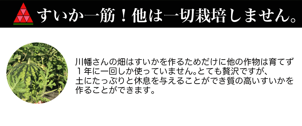 河幡さんスイカ