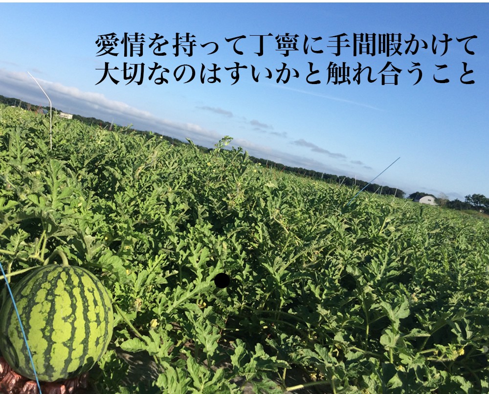 河幡さんスイカ