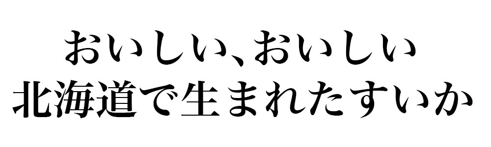 河幡さんスイカ