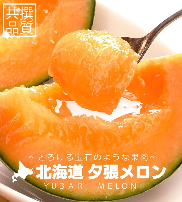 出荷中 メロン 夕張メロン 訳あり (共撰 2玉入約2.6kg) / 北海道 お
