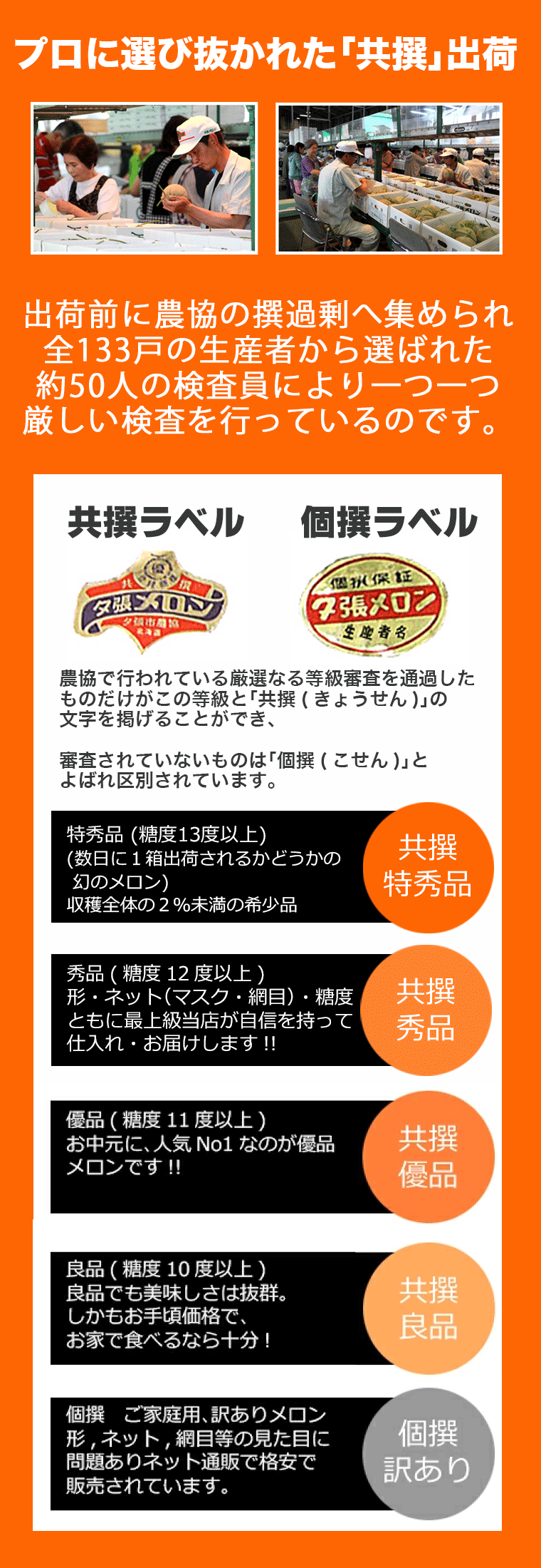 夕張メロン共通