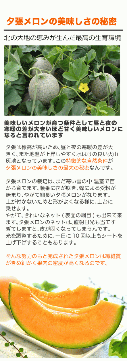夕張メロン共通