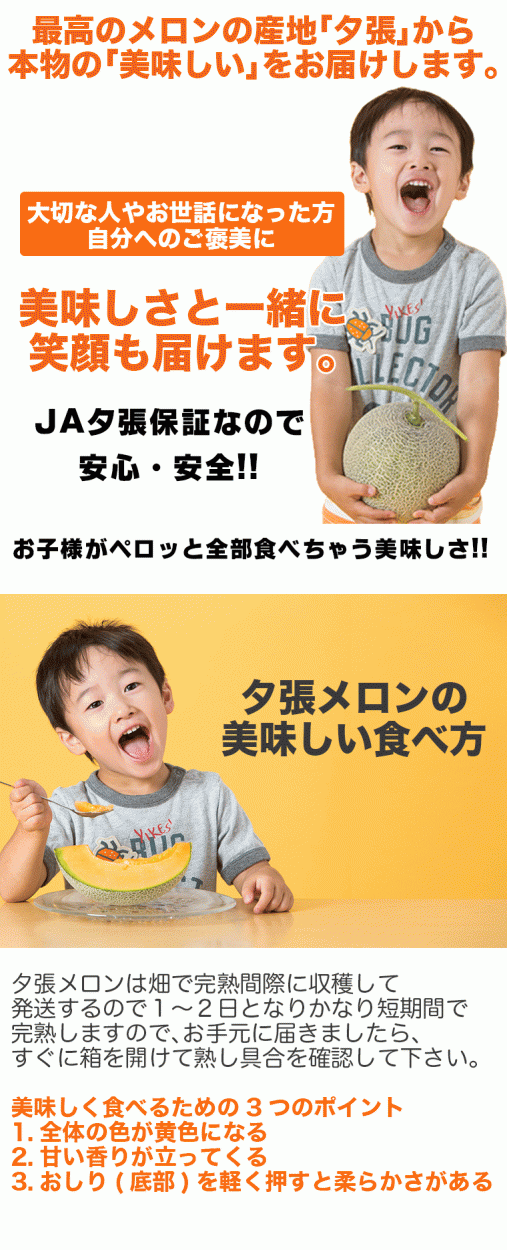 夕張メロン共通