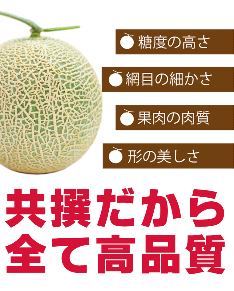 2024年 予約 メロン お中元 ギフト 送料無料 北海道産 夕張メロン(優