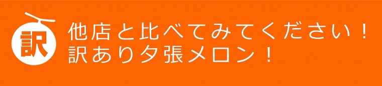 北海道 夕張メロン