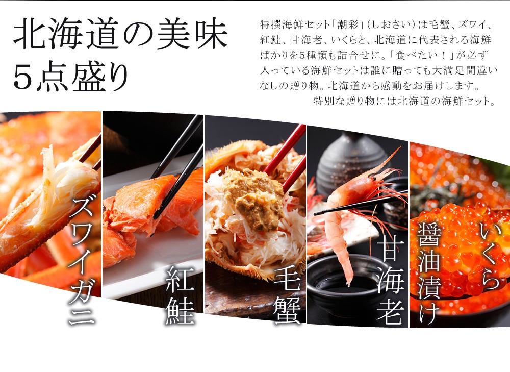 潮彩_内容