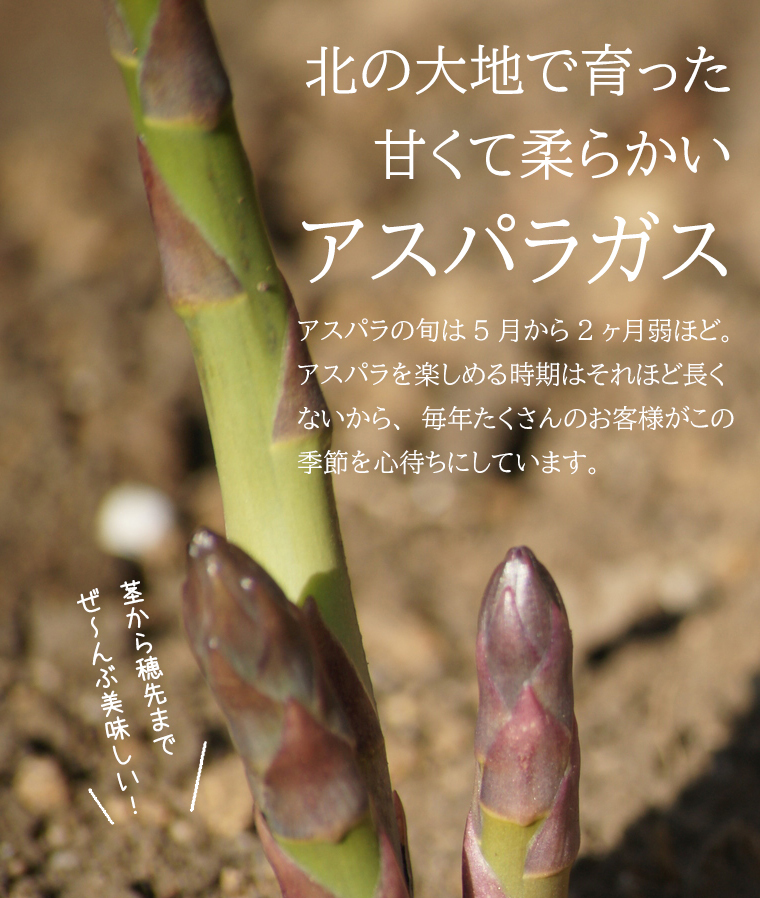甘くて柔らかい