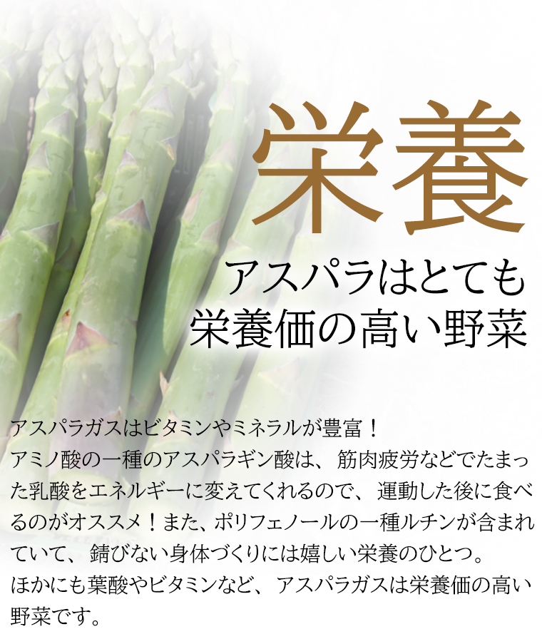 栄養