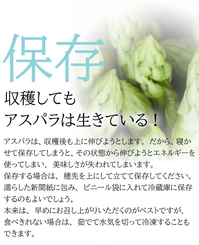 保存